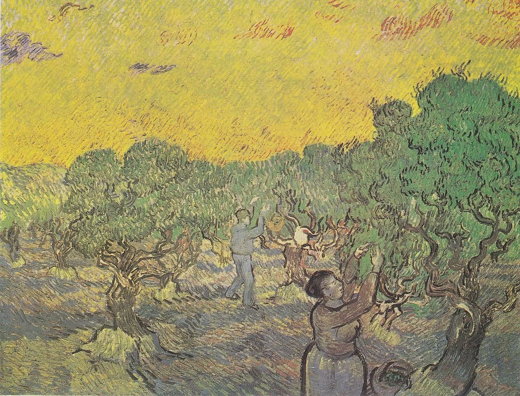 134-Vincent van Gogh-La raccolta nell'uliveto - Kröller-Müller Museum, Otterlo 
